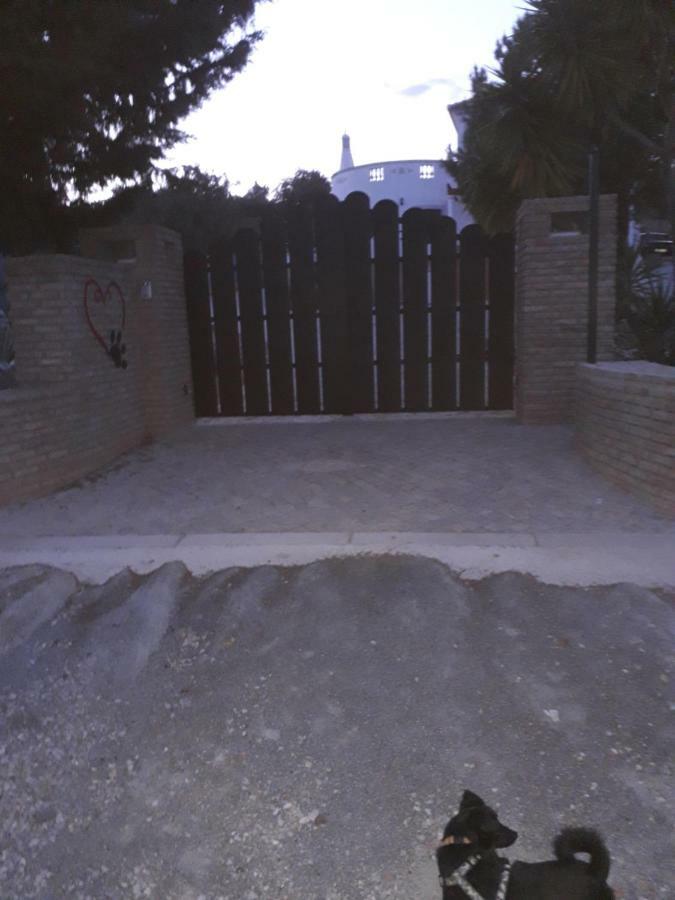 Alojamento Local Patudos, Suite Com Terraco Privado Tavira Bagian luar foto