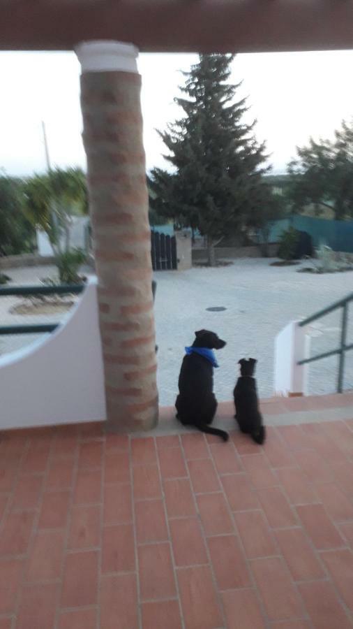 Alojamento Local Patudos, Suite Com Terraco Privado Tavira Bagian luar foto